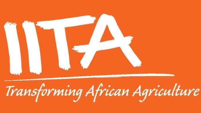 Latest Jobs at IITA - International Institute of Tropical Agriculture