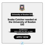 Snake Catcher needed at the University of Ibadan (UI)